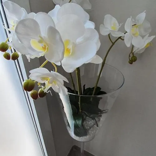 Kuma 3* San Giuseppe (Ferrara)