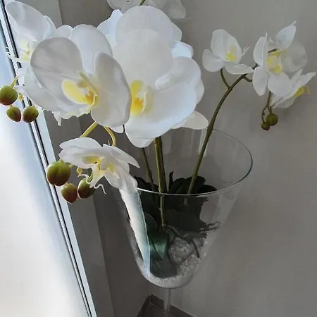 Kuma 3* San Giuseppe (Ferrara)