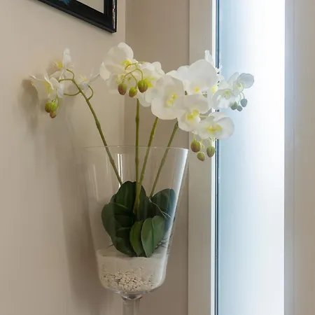 Kuma San Giuseppe (Ferrara)